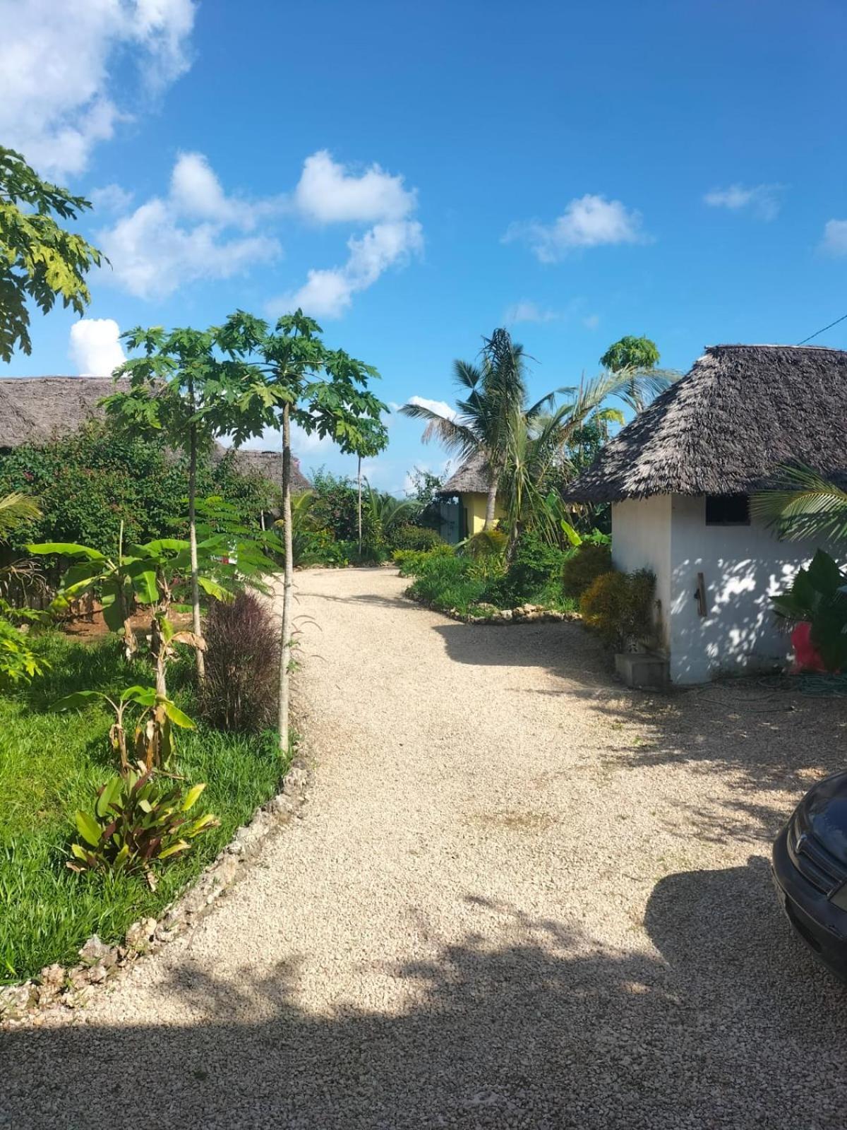 Kendwa Carletto Style Bed & Breakfast Exterior photo
